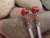 Captured Carnelian Hairticks capturedcarnelianhairsticks2.jpg